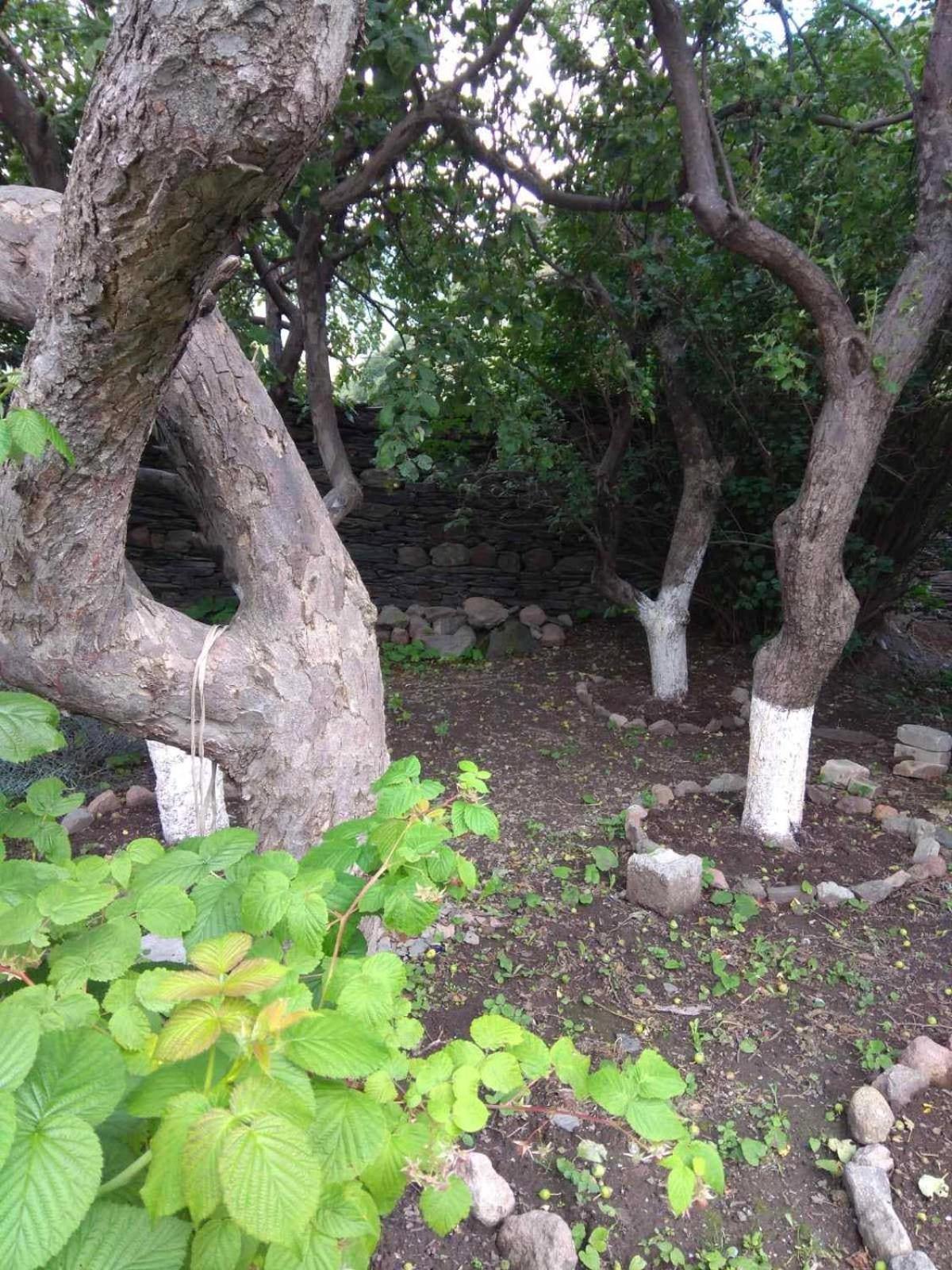 卡兹贝吉 House In Gergeti酒店 外观 照片